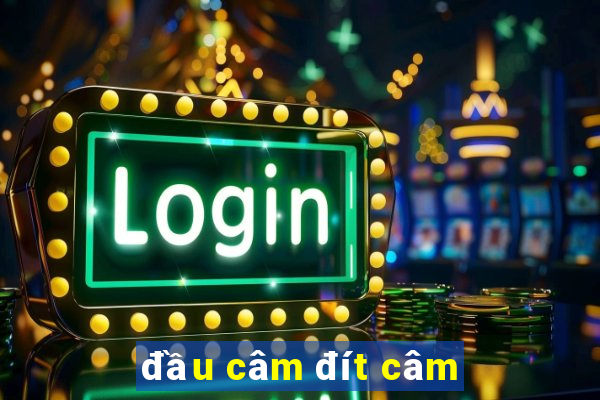 đầu câm đít câm