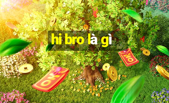 hi bro là gì