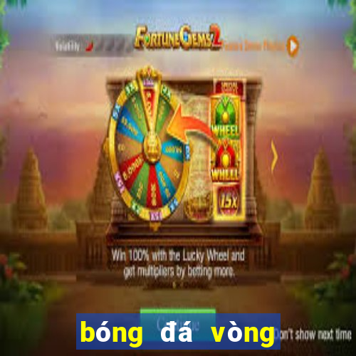 bóng đá vòng loại world cup nam mỹ