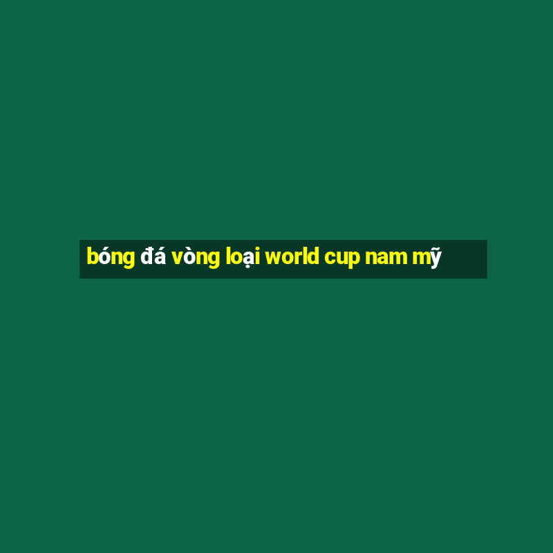 bóng đá vòng loại world cup nam mỹ