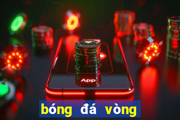 bóng đá vòng loại world cup nam mỹ