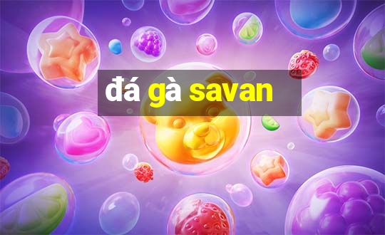 đá gà savan