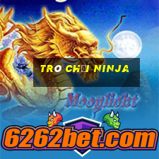 trò chơi ninja