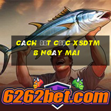 Cách đặt cược XSDTMB ngày mai