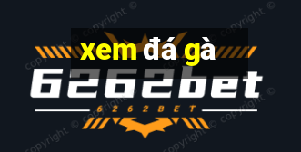 xem da ga