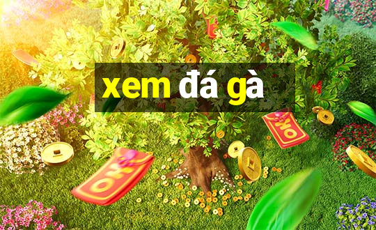 xem da ga