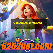 vaobong 1gom