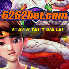 số kiến thiết gia lai