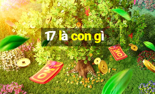 17 là con gì