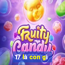 17 là con gì