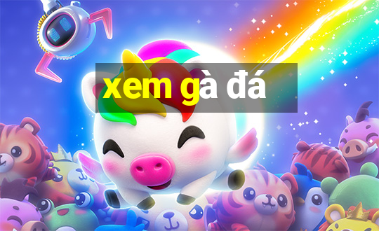 xem gà đá