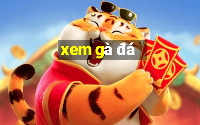 xem gà đá