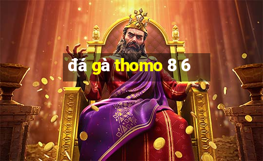 đá gà thomo 8 6