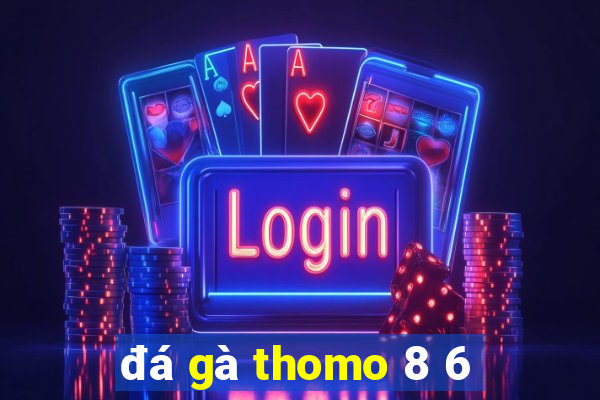 đá gà thomo 8 6