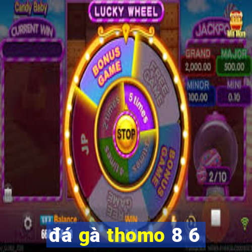 đá gà thomo 8 6