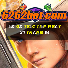 đá gà trực tiếp ngày 21 tháng 04