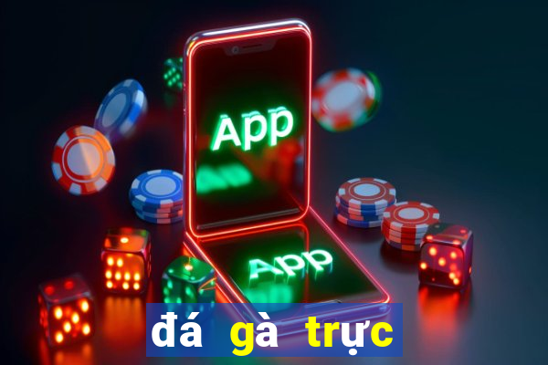 đá gà trực tiếp ngày 21 tháng 04