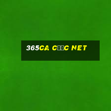 365ca cược net