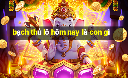 bạch thủ lô hôm nay là con gì