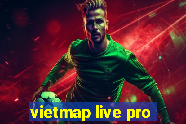 vietmap live pro