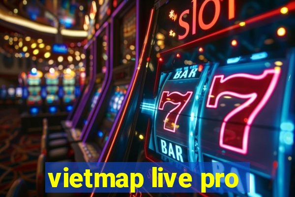 vietmap live pro