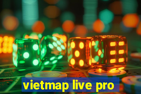 vietmap live pro