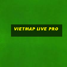 vietmap live pro