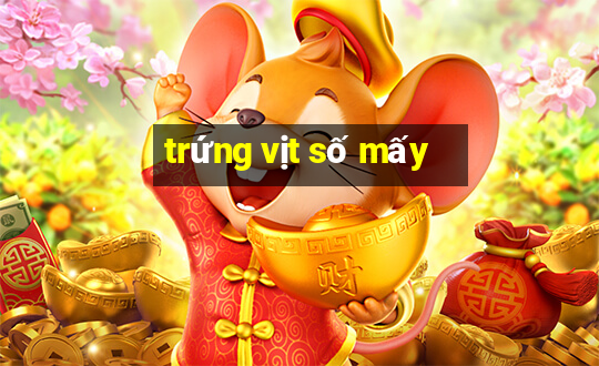 trứng vịt số mấy