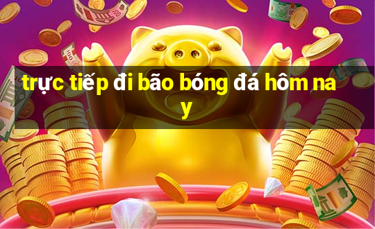 trực tiếp đi bão bóng đá hôm nay