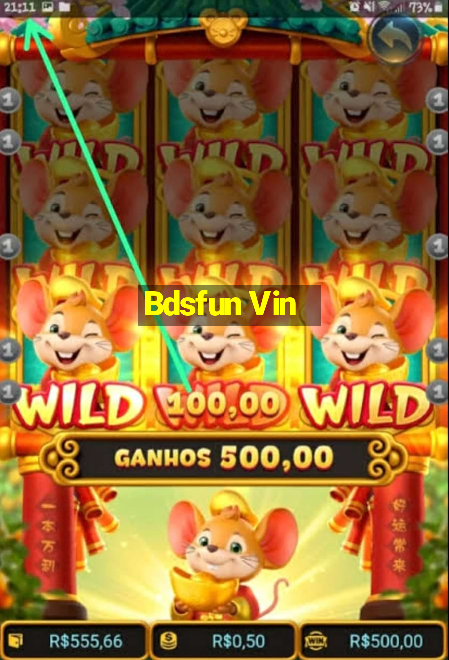 Bdsfun Vin