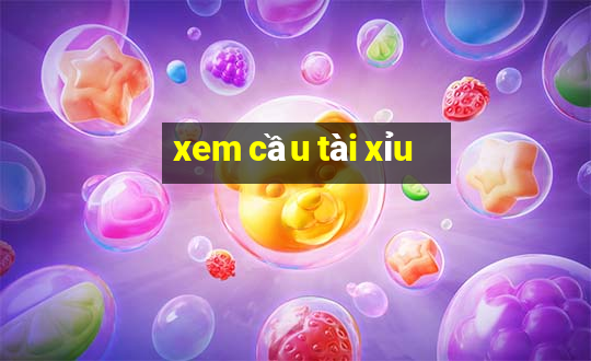 xem cầu tài xỉu