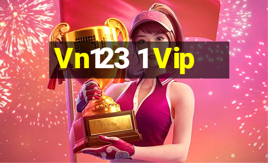 Vn123 1 Vip