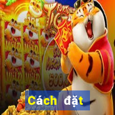 Cách đặt cược XSBDI thứ tư