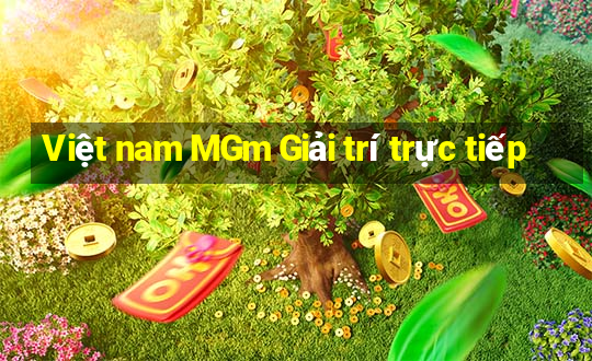 Việt nam MGm Giải trí trực tiếp