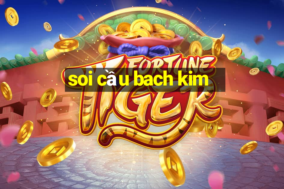 soi cầu bach kim