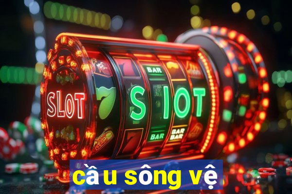 cầu sông vệ