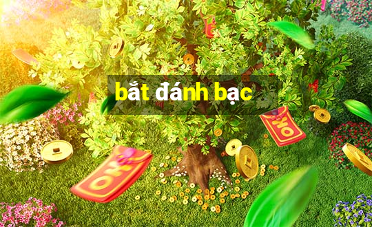 bắt đánh bạc