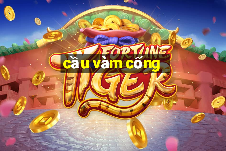 cầu vàm cống