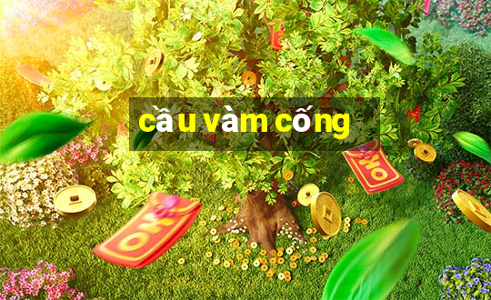 cầu vàm cống