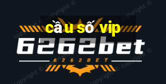 cầu số vip