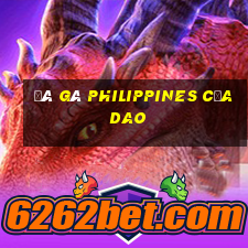 đá gà philippines cựa dao