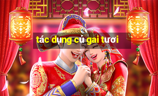 tác dụng củ gai tươi