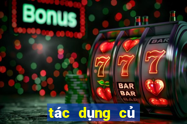 tác dụng củ gai tươi