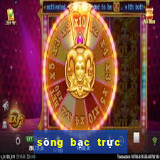 sòng bạc trực tiếp 20Bet