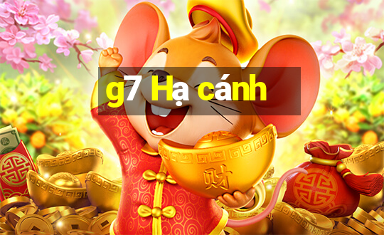 g7 Hạ cánh