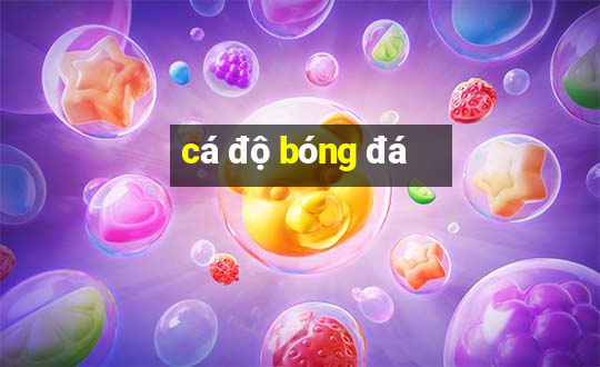 cá độ bóng đá