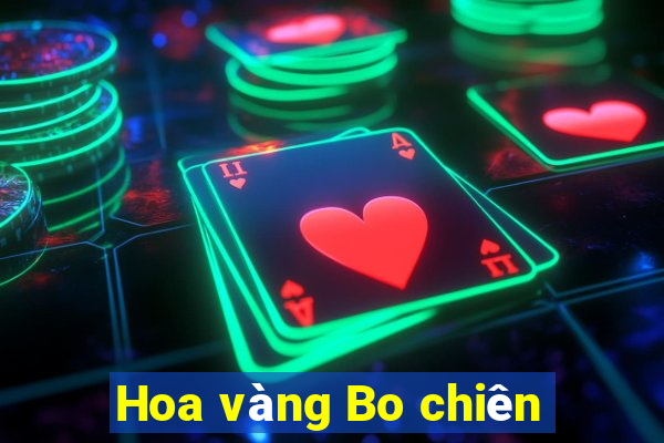 Hoa vàng Bo chiên