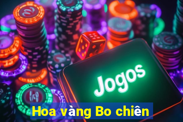 Hoa vàng Bo chiên