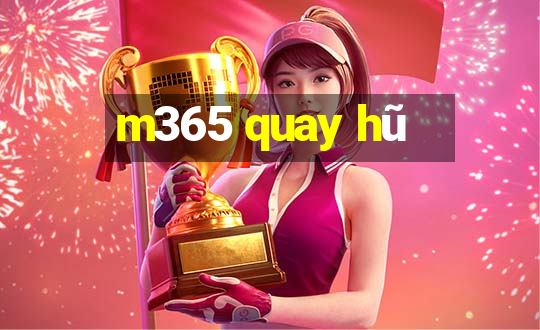 m365 quay hũ