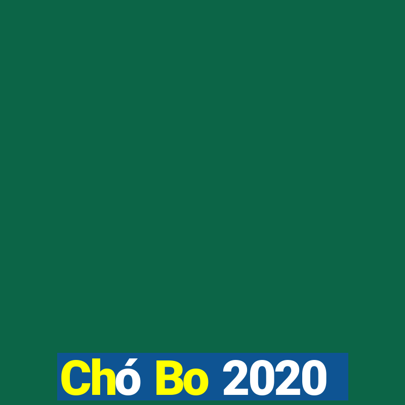 Chó Bo 2020